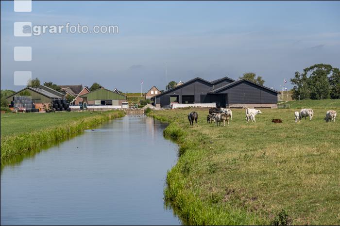 Viehweiden Polder 2