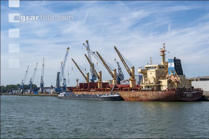 Rotterdam Containerhafen 3