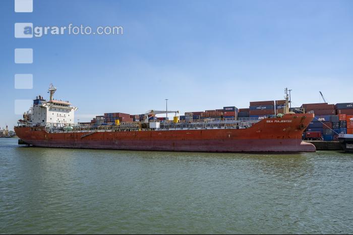 Rotterdam Containerhafen 5