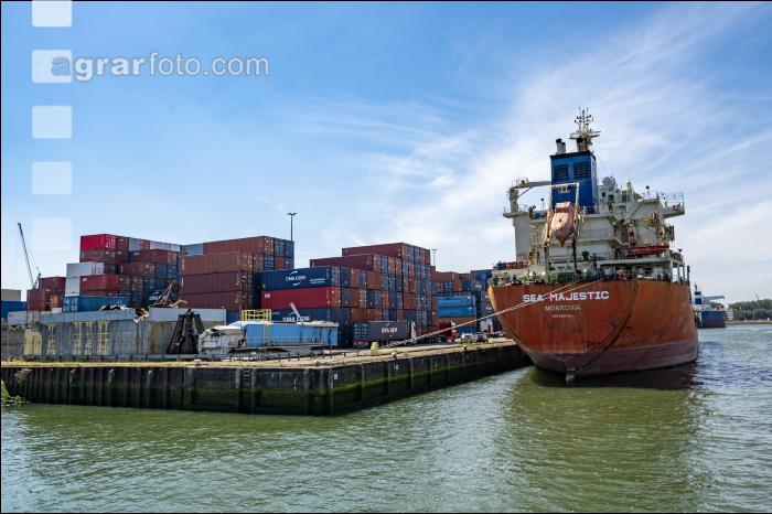 Rotterdam Containerhafen 13
