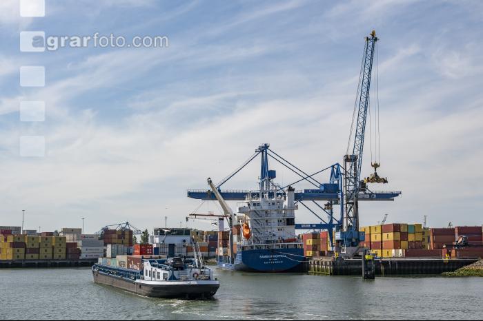 Rotterdam Containerhafen 15
