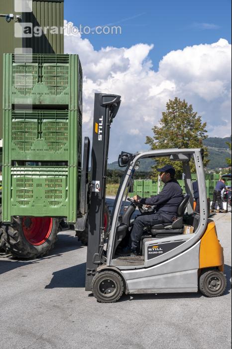 Apfelpackhaus 20