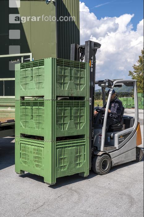 Apfelpackhaus 19