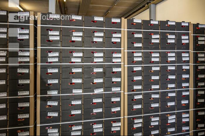 Apfelpackhaus 16