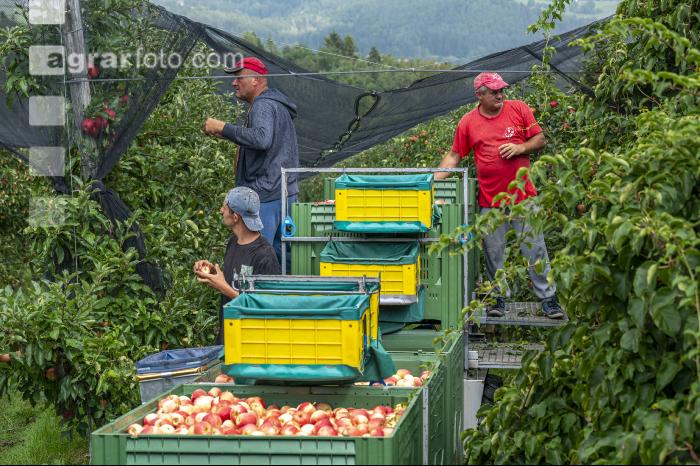 Neue Bilder Oktober 2022