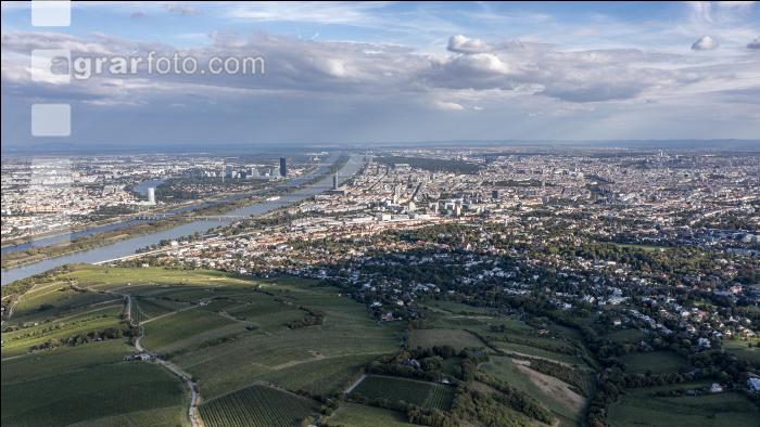 Wien 7