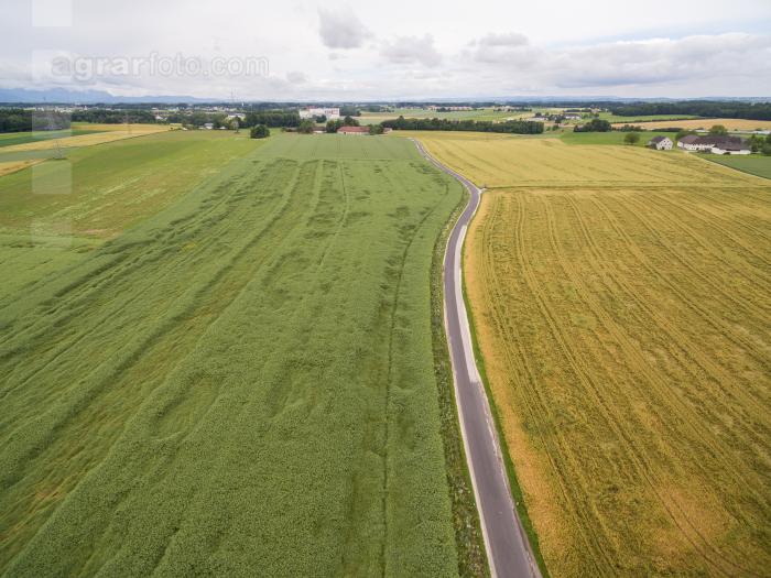 Agrarlandschaft
