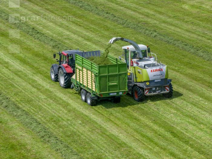 Gras häckseln 128