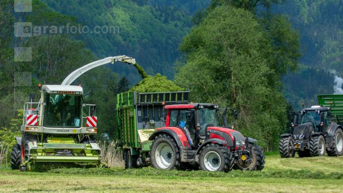 Gras häckseln 120